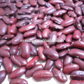 Red Kidney Bean Suppliers, Red Kidney Beans,Red beans Price